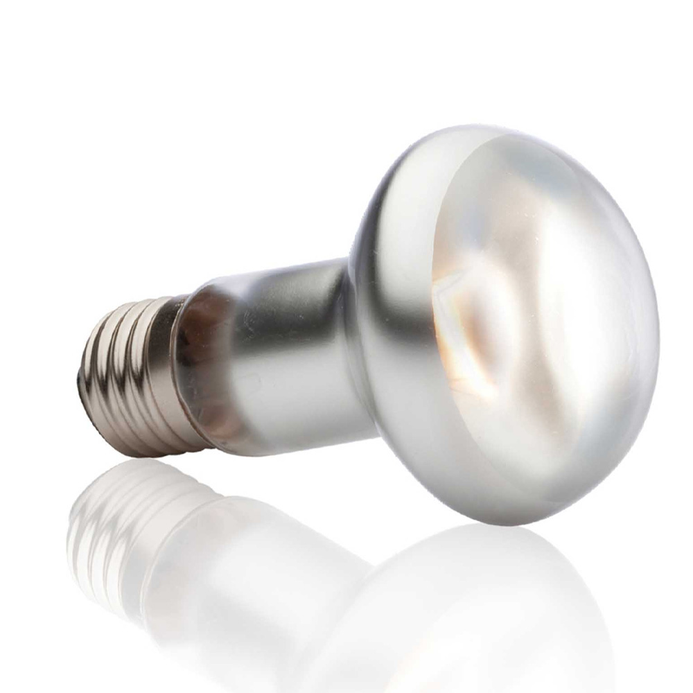 Exo Terra Intense Basking Spot 75W 63mm Żarówka Grzewcza do Terrarium